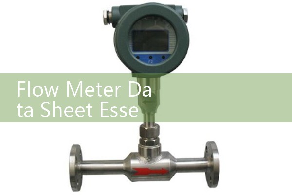 Flow Meter Data Sheet Essentials: Deciphering Sizing Limits, Pressures, and Material Liners
